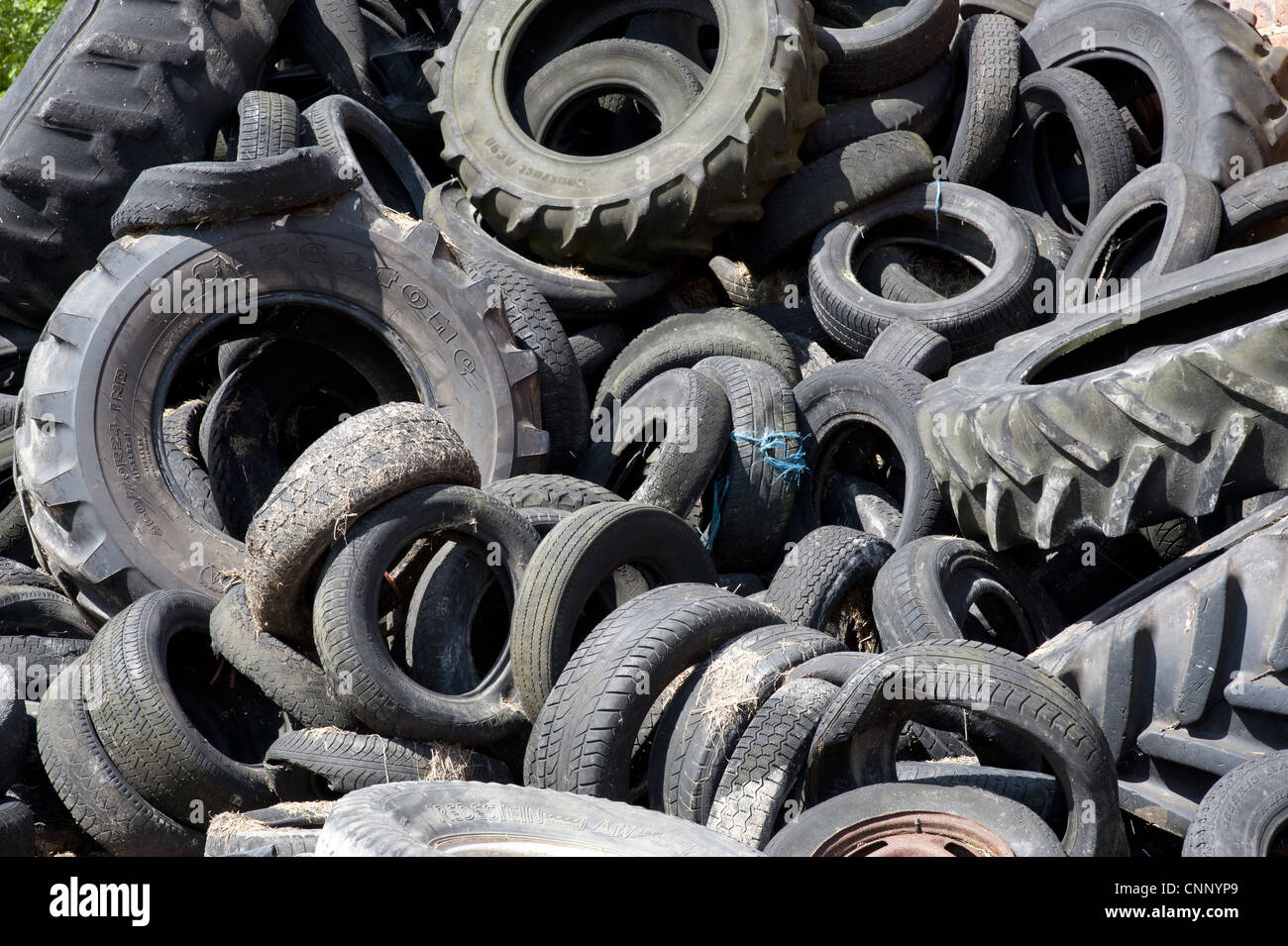 Rubber tyres used to hold sheeting down on silage clamp, England, june Stock Photo