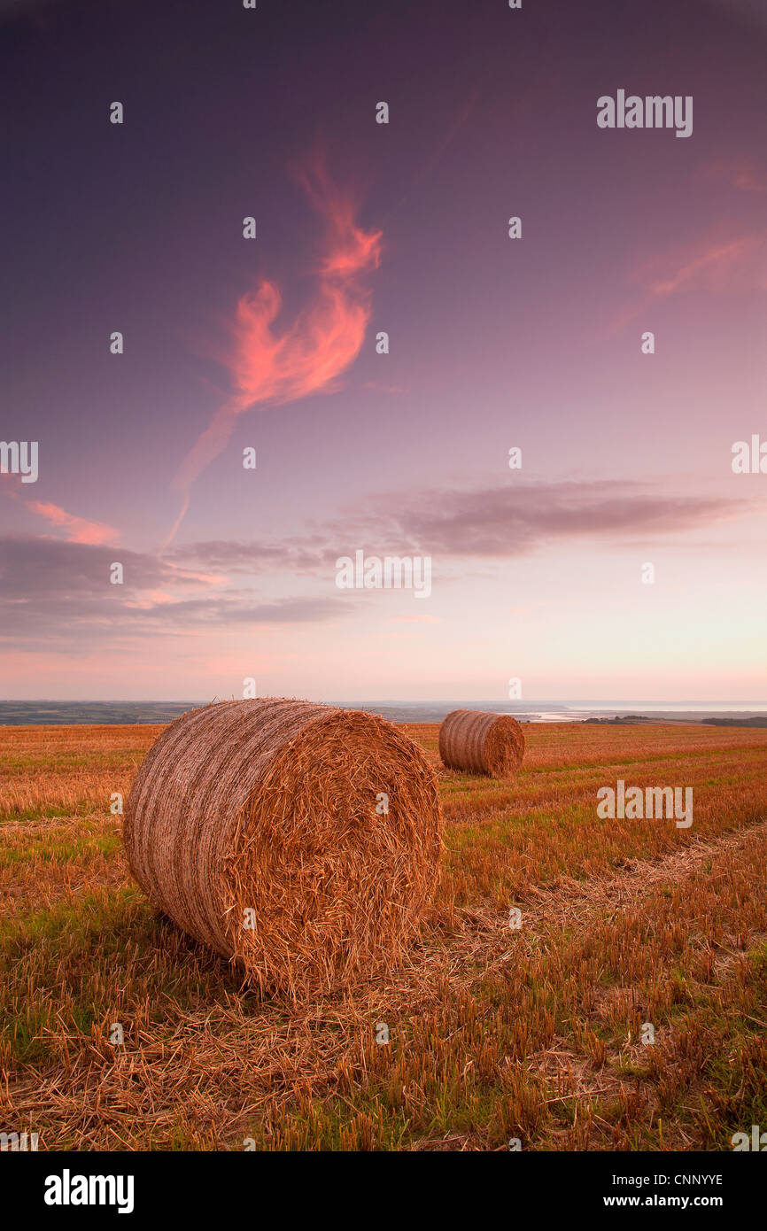 Round straw bales stubble field sunset distant view River Taw onto Bar