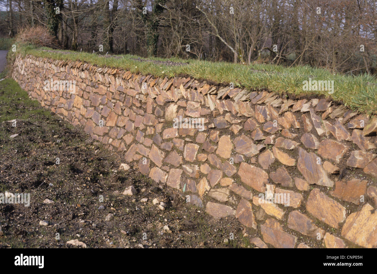 Cornish Hedge, newly constructed earth bank faced with stones, Stithians, Cornwall, England Stock Photo