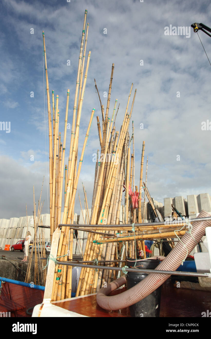 Poles used for line caught tuna fishing on boat in harbour, pole and
