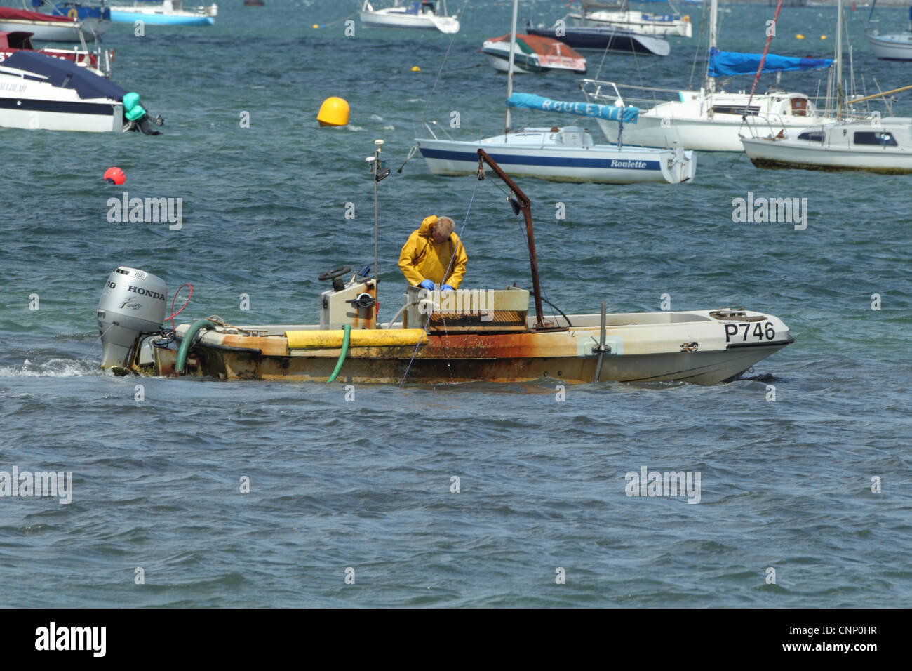 Fisherman fishing for clams, clamming boat with pump scoop dredge
