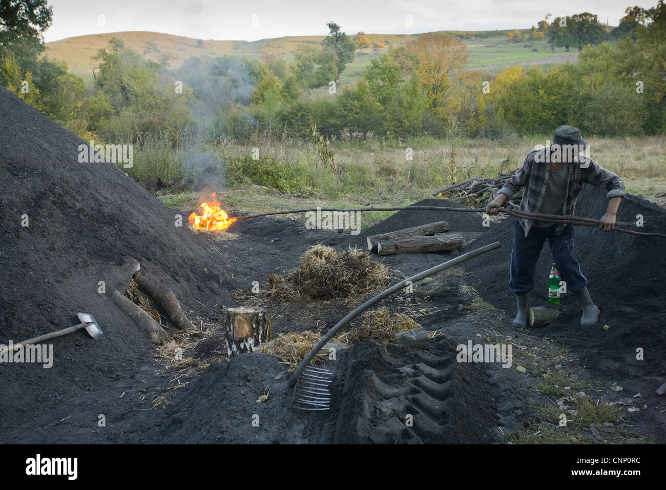 Charcoal burning, charcoal burner lighting pile in traditional yard