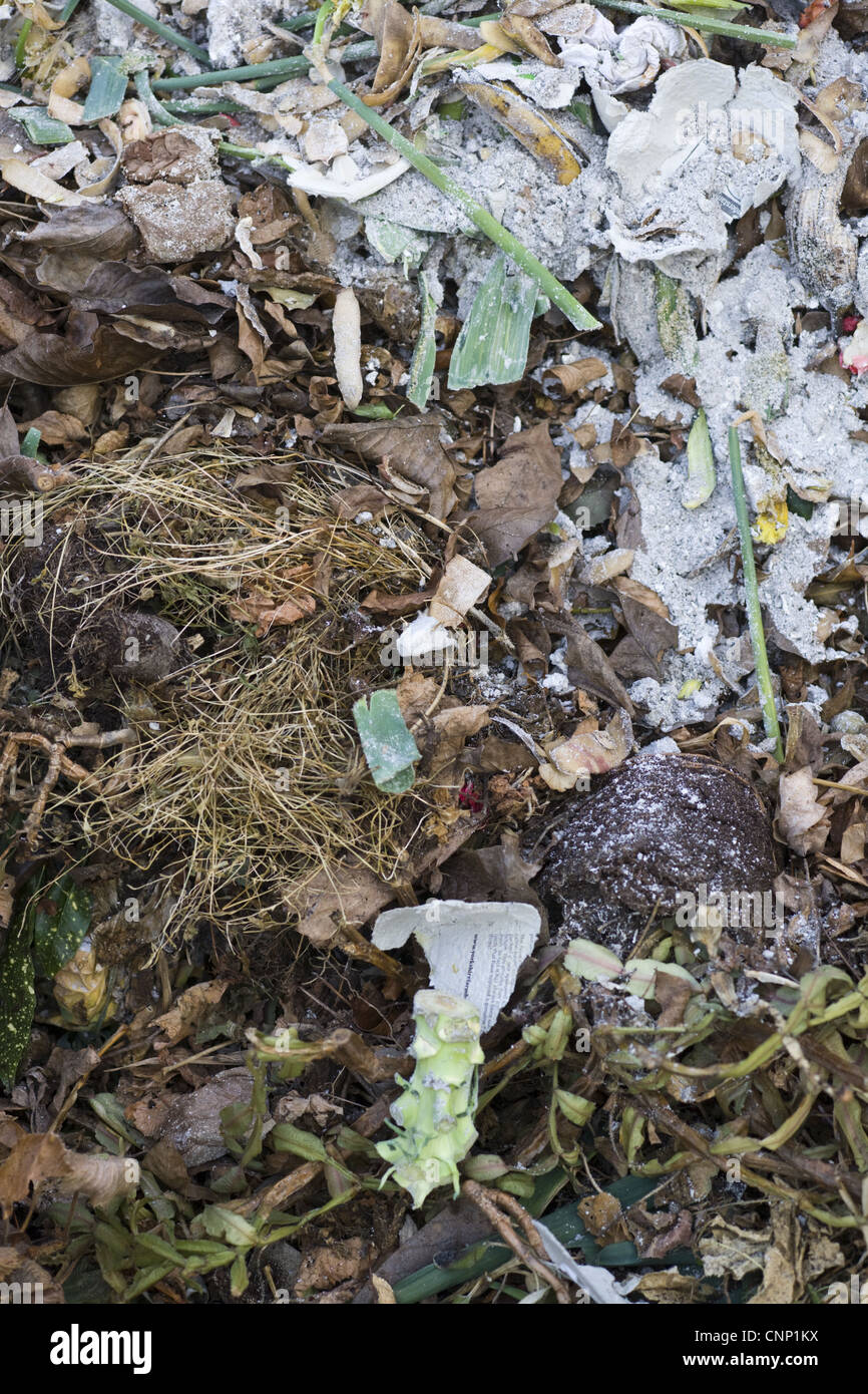 Garden compost heap with shredded paper, England, march Stock Photo Alamy