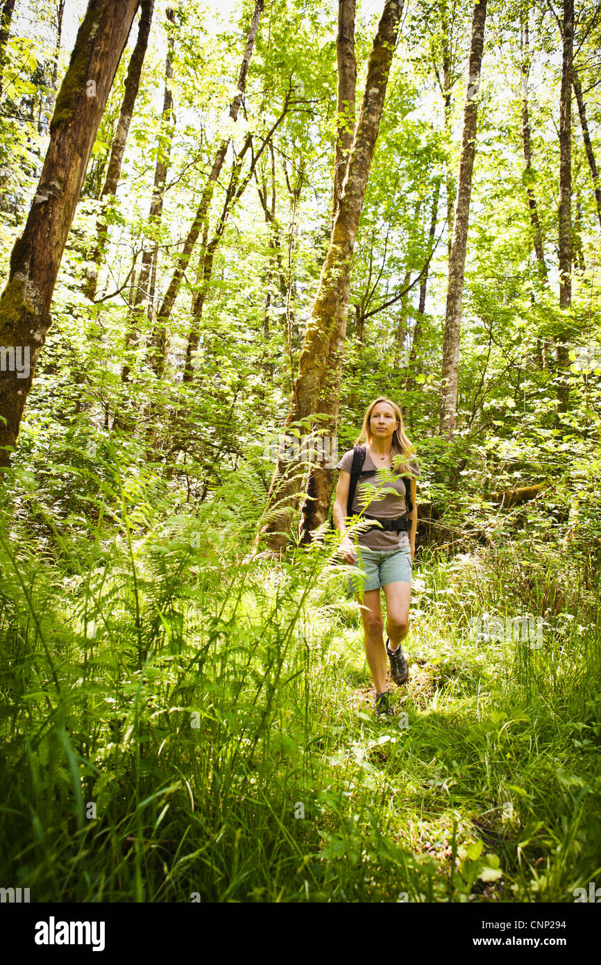 A woman hiking in the forest Stock Photo - Alamy