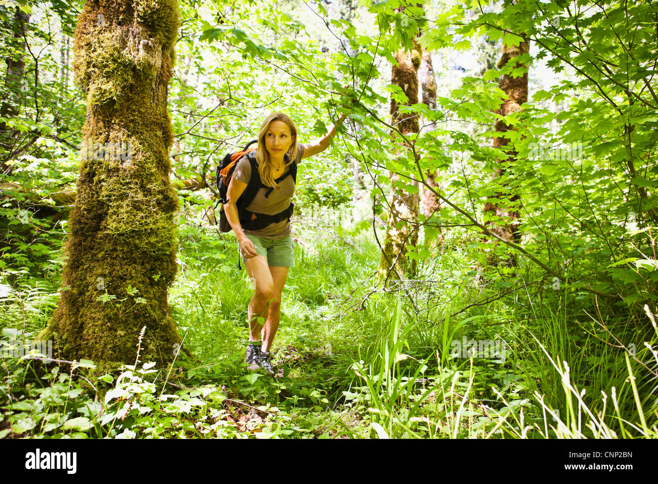 A woman hiking in a forest Stock Photo - Alamy