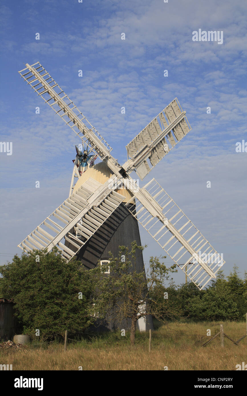 Nineteenth Century tower mill, Thelnetham Windmill, Thelnetham, Little Ouse Valley, Suffolk, England, june Stock Photo