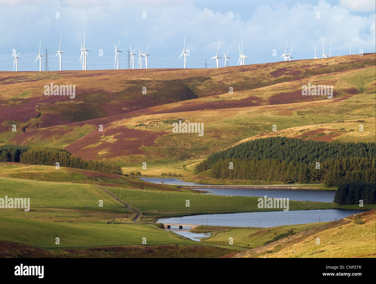 Wind turbines on hill above reservoir, Whiteadder Reservoir, Lammermuir Hills, Scottish Borders, Scotland, september Stock Photo