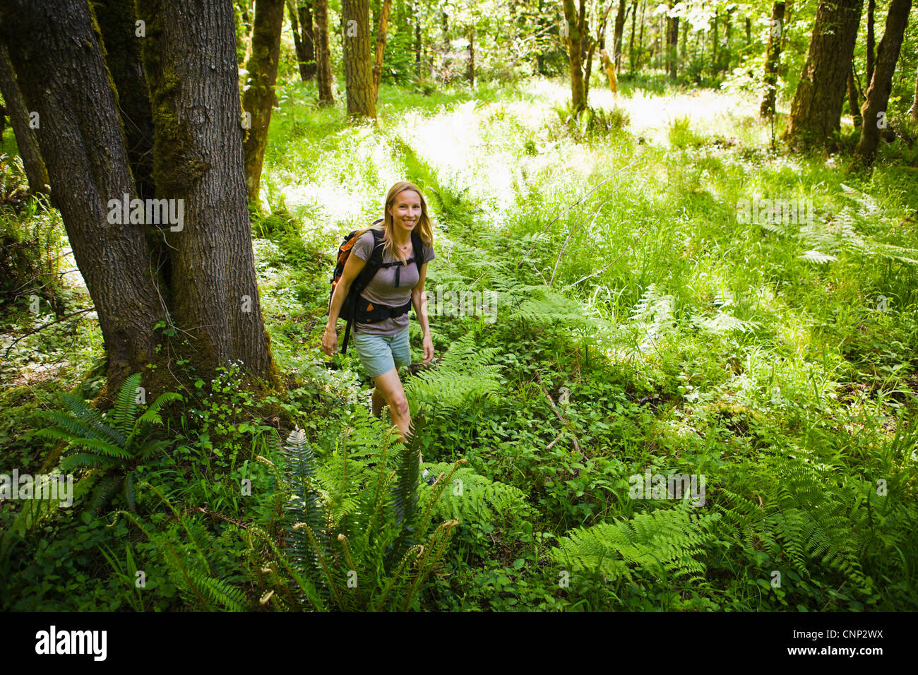 A woman hiking in a forest Stock Photo - Alamy