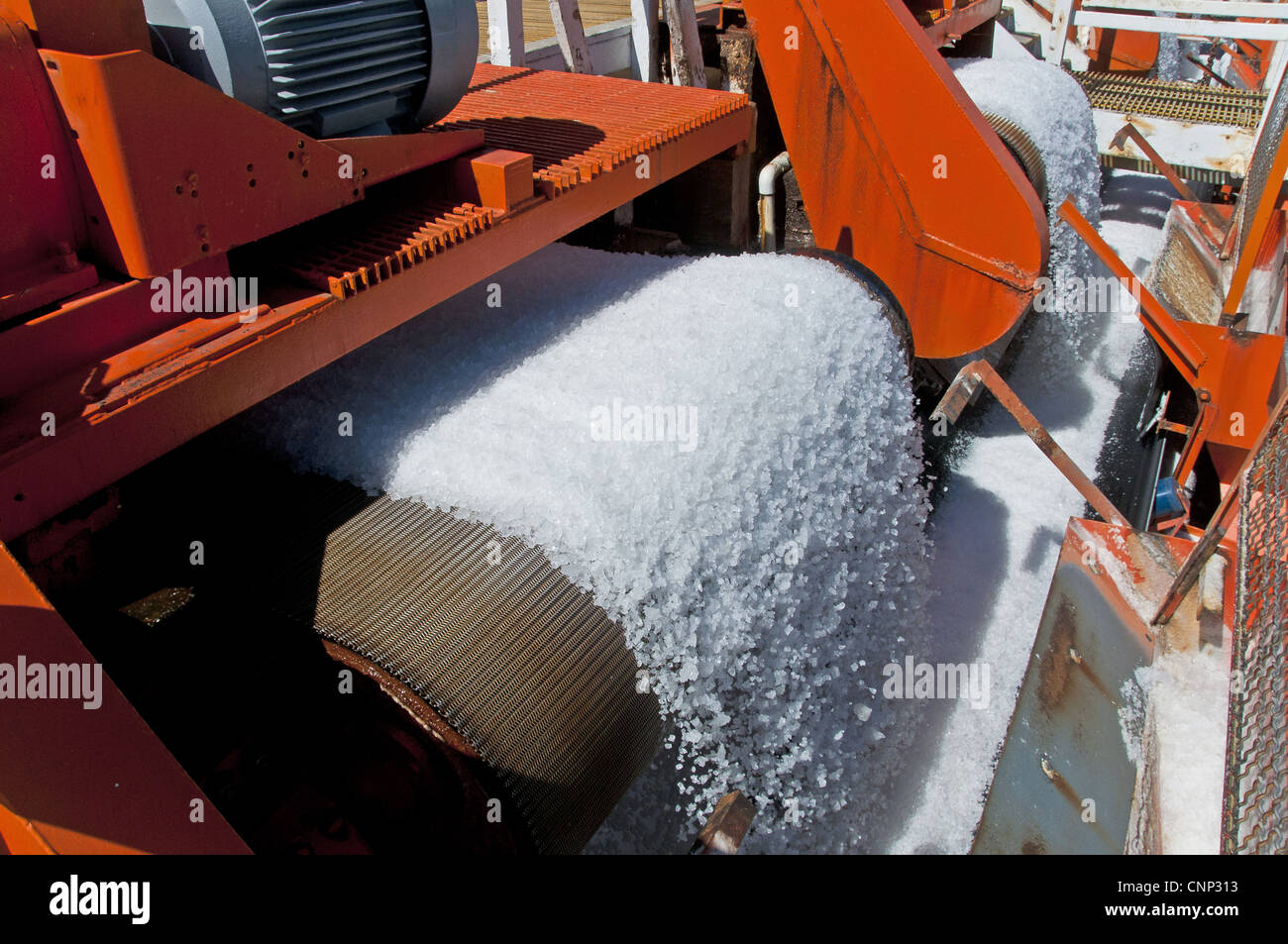 Commercial salt production salt conveyor belts Exportadora de Sal ESSA