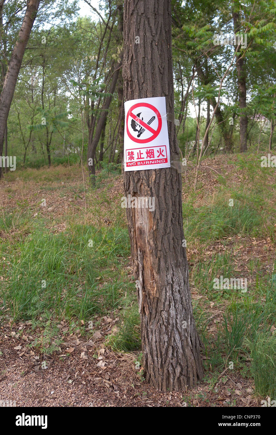 Sign warning of fire danger, on tree trunk in forest, Zushan Forest Park, Qinhuangdao, China, may Stock Photo
