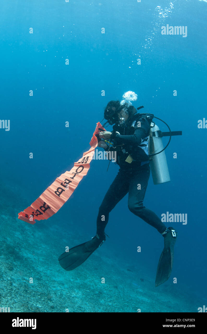 Diver inflating 'Diver Below' safety sausage, Tugu, Nusa Penida, Bali, Lesser Sunda Islands, Indonesia Stock Photo