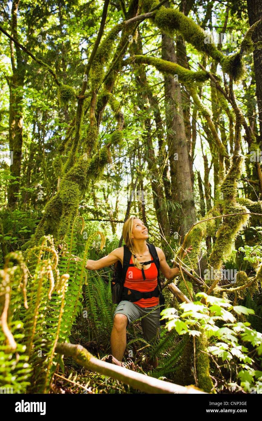 A woman with a backpack looking up at moss covered branches in a forest, Little Si trail, Washington, USA. Stock Photo