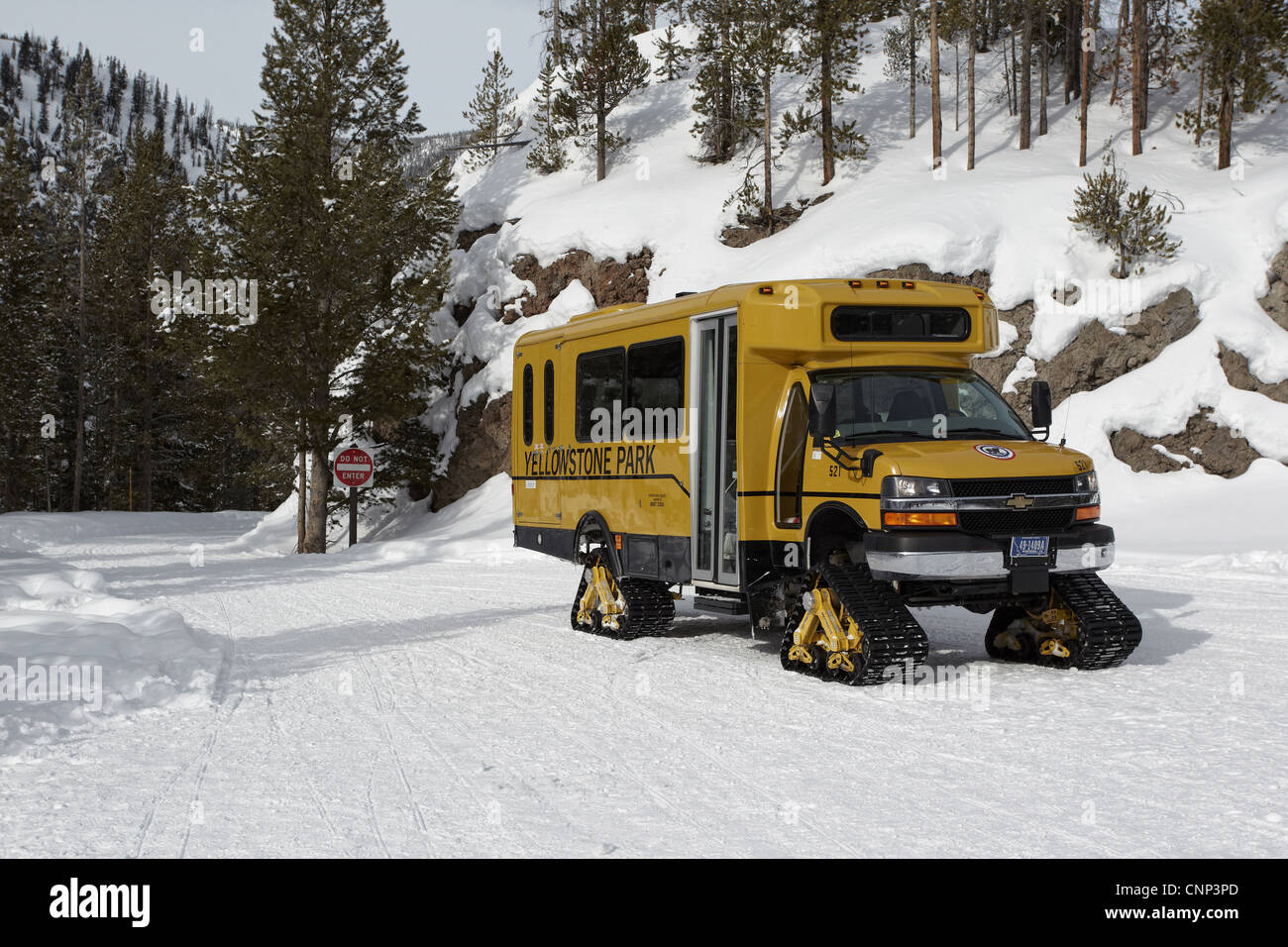 Yellowstone National Park Snow Track Vehicles