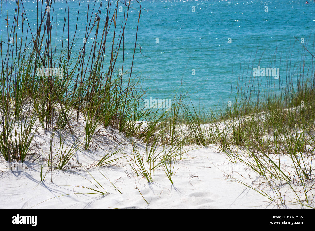 Alabama gulf coast hi-res stock photography and images - Alamy