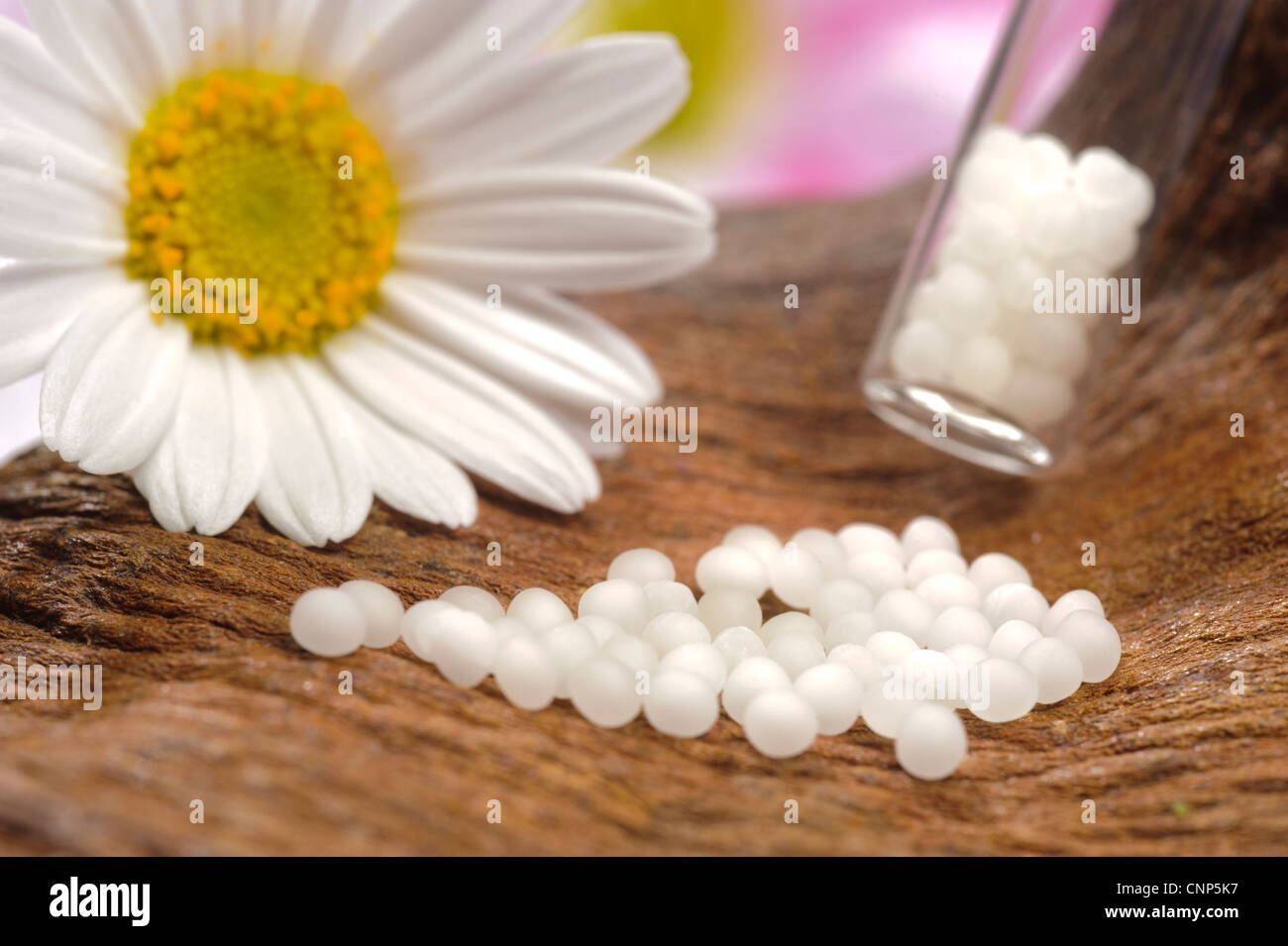 alternative medicine with homeopathy and globules Stock Photo