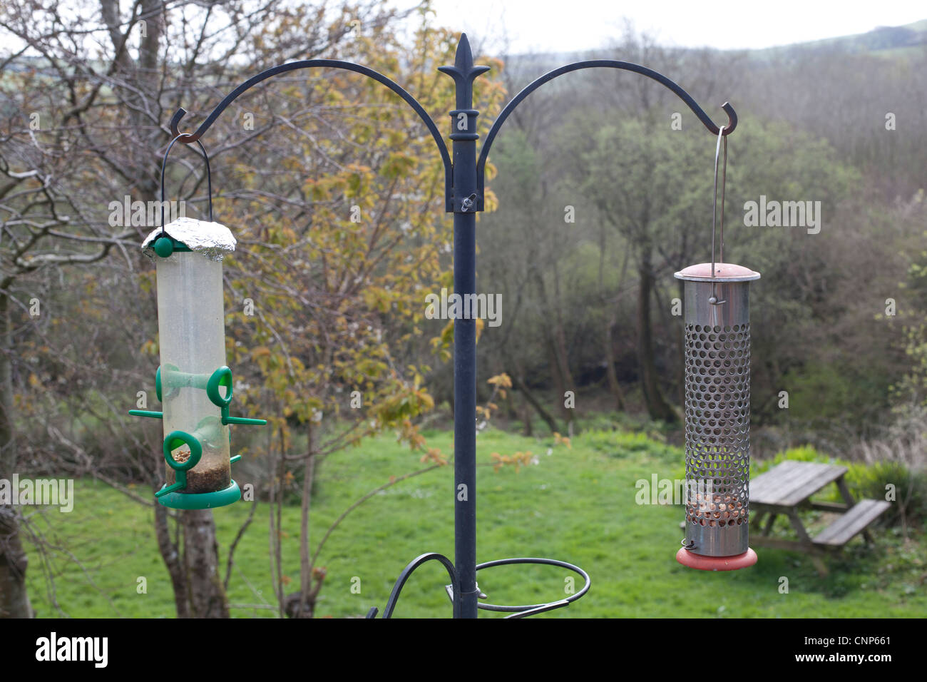 A bird feeder in a winters garden in cornwall Stock Photo