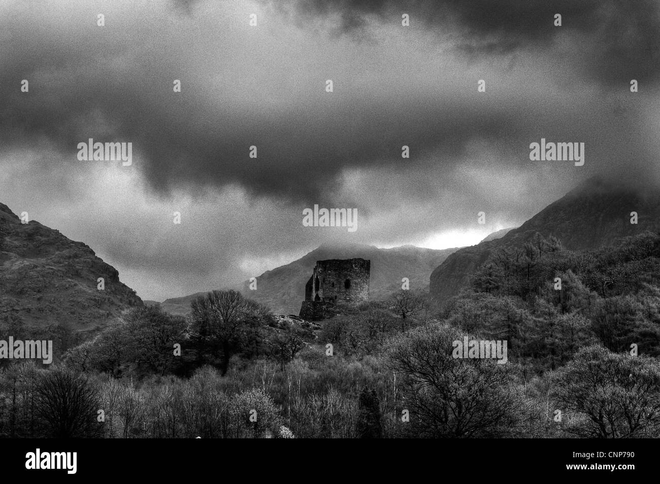 Dolbadarn Castle Wales Black And White Stock Photos Images Alamy dolbadarn-castle-wales-black-and-white-stock-photos-images-alamy