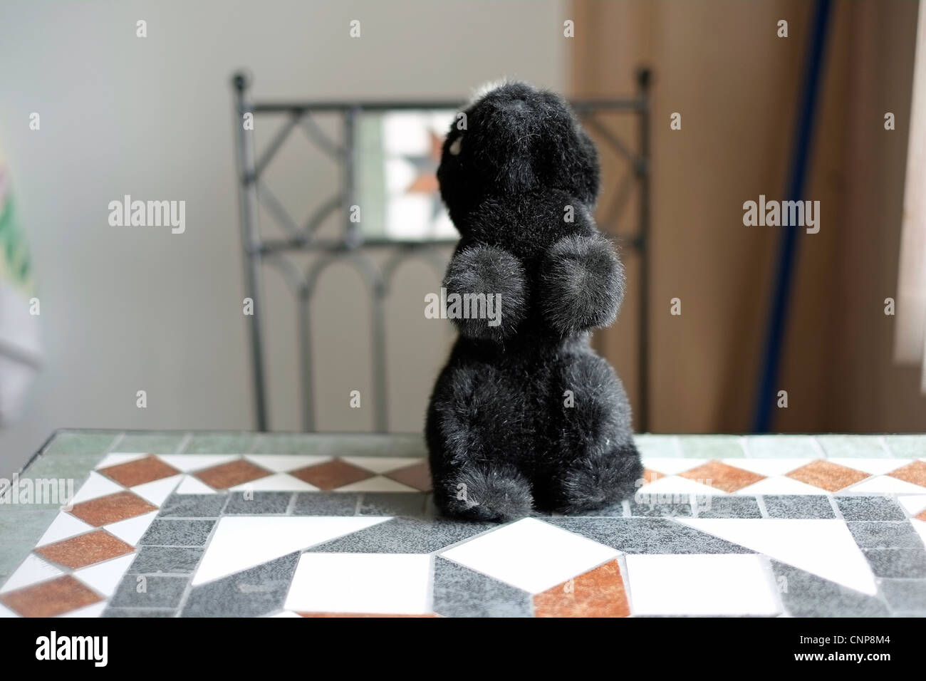 Stuffed animal toy skunk on hind legs Stock Photo Alamy