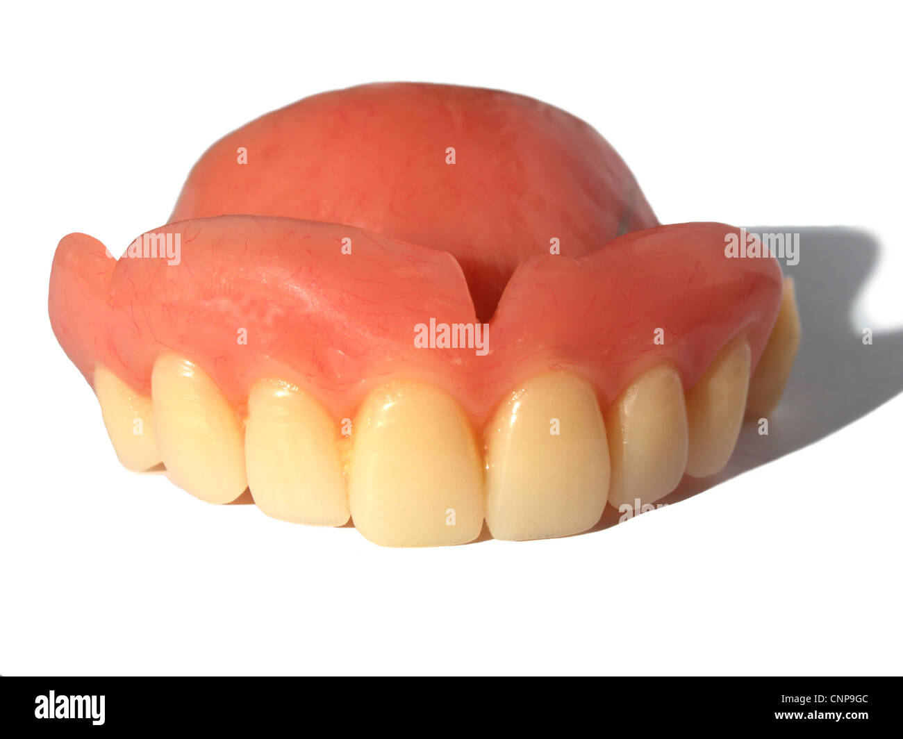 Upper part of a human false teeth isolated on white background Stock Photo