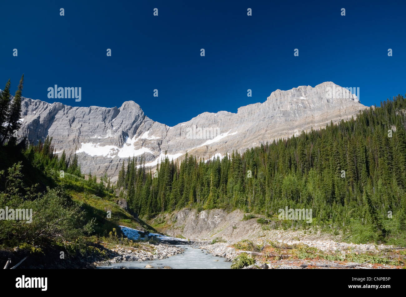 Tumbling Creek on the Rockwall Trail, Kootenay National Park of Canada