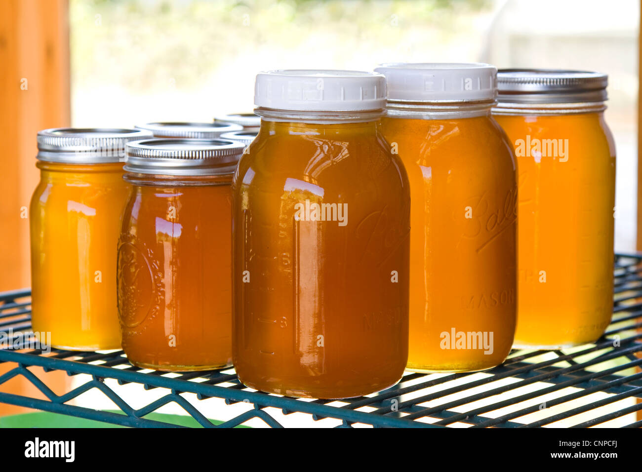 Farm fresh organic honey for sale at farmers market Stock Photo