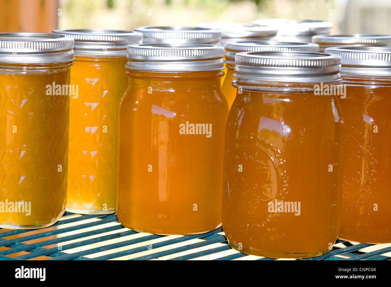 Farm fresh organic honey for sale at farmers market Stock Photo