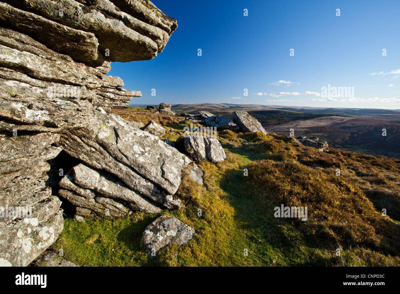 Birch Tor on Dartmoor, Devon, United Kingdom Stock Photo - Alamy