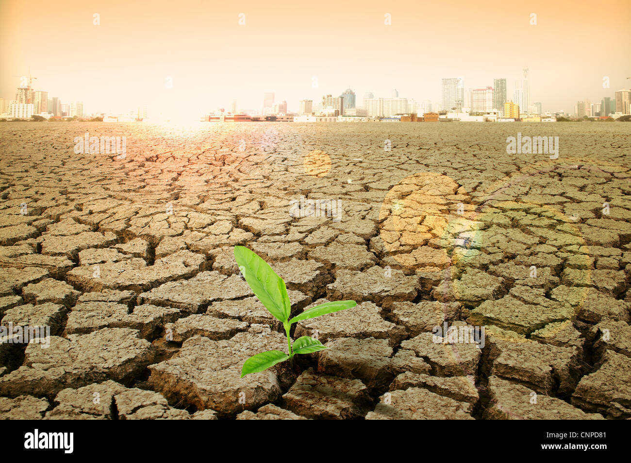cracked earth - concept image of global warming Stock Photo - Alamy