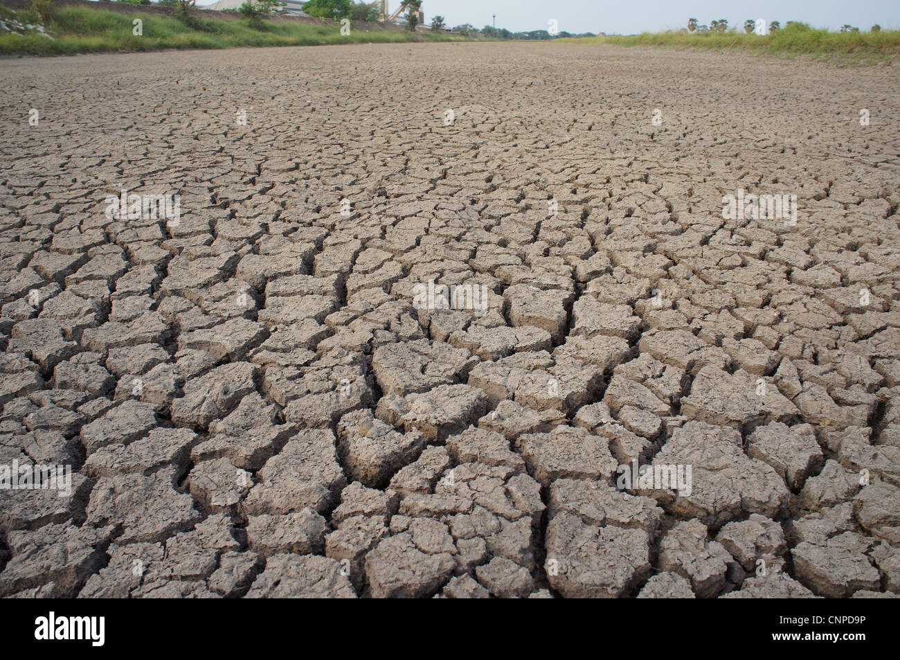 cracked earth - concept image of global warming Stock Photo - Alamy