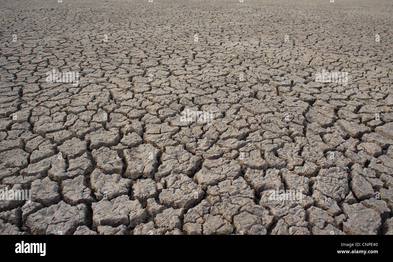cracked earth - concept image of global warming Stock Photo - Alamy