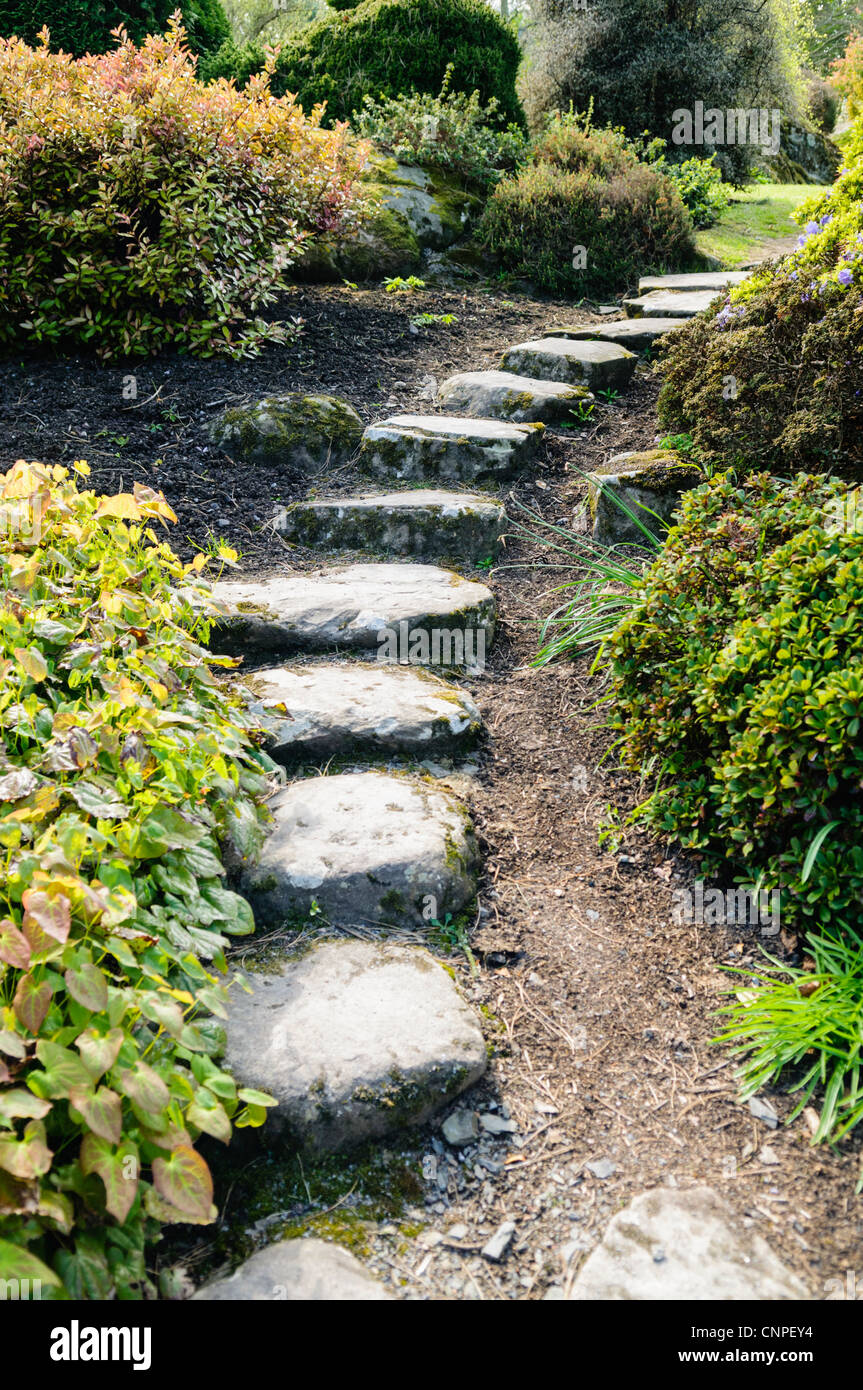 Stepping stones through a garden bed Stock Photo