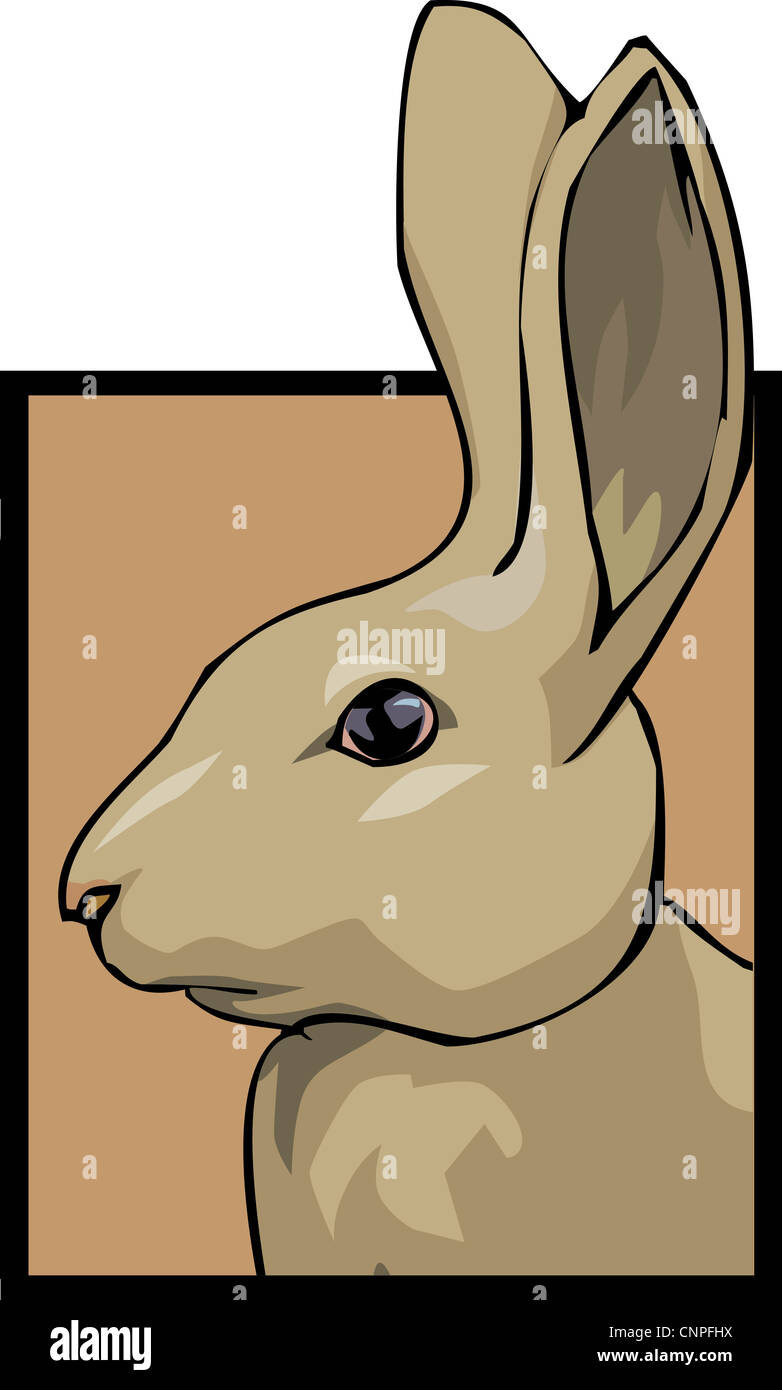 rabbit running store