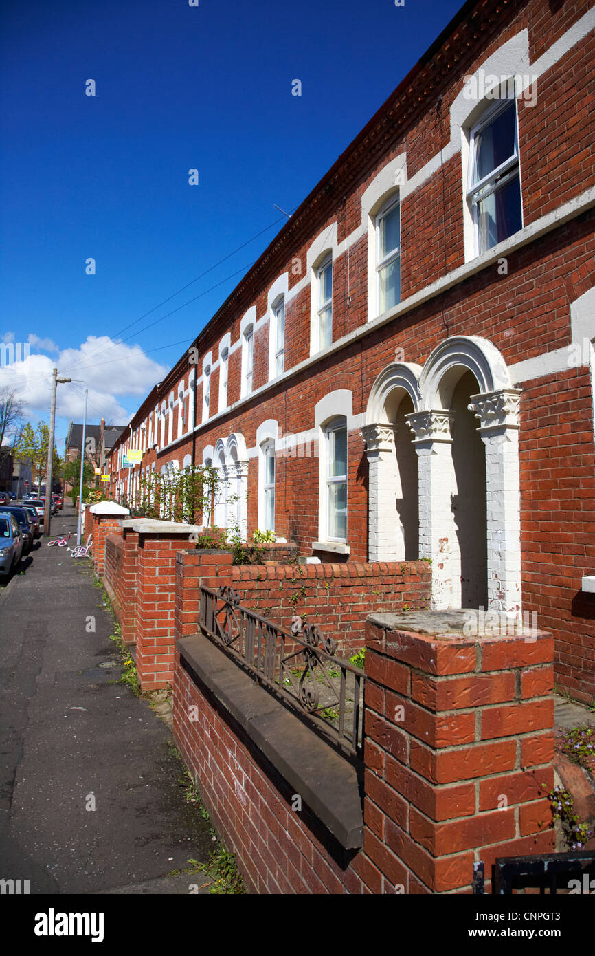 row of terraced houses in a student residential area of Belfast Northern Ireland UK Stock Photo