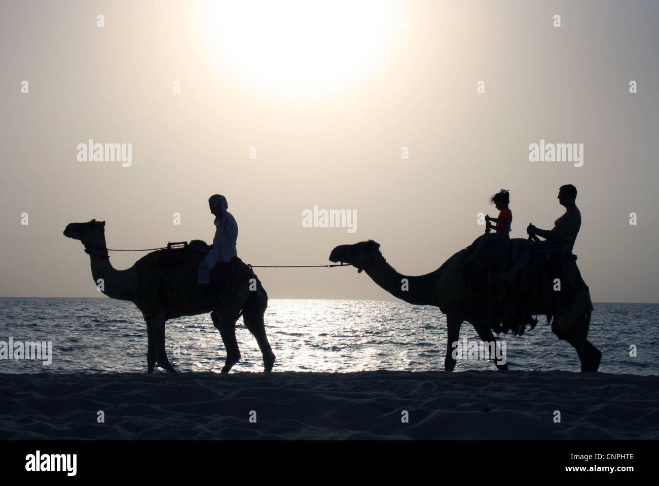 Camel ride on beach against setting sun Stock Photo