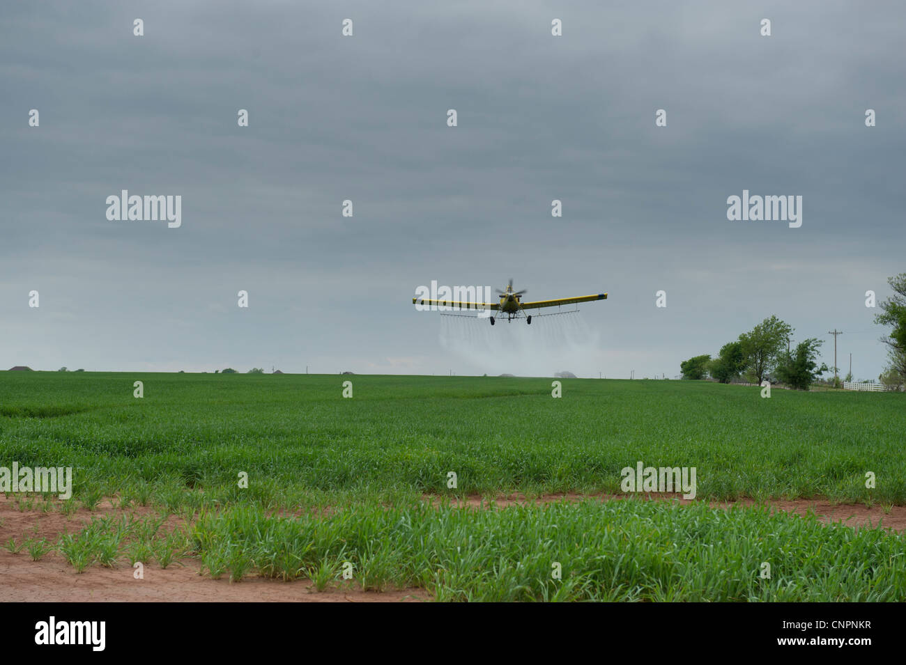 Crop duster spraying wheat field in central Oklahoma Stock Photo Alamy