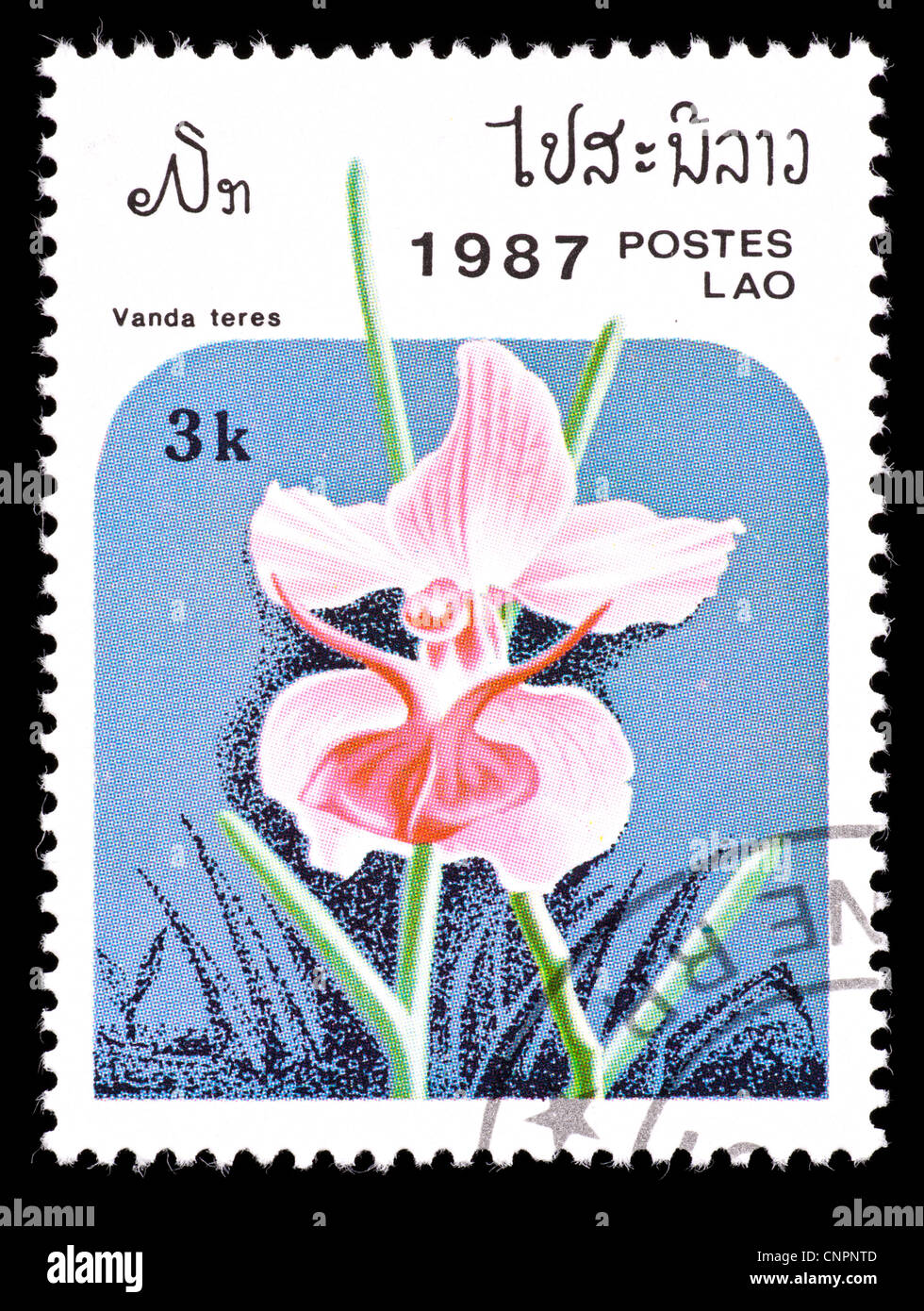 Postage stamp from Laos depicting an orchid (Vanda teres) Stock Photo