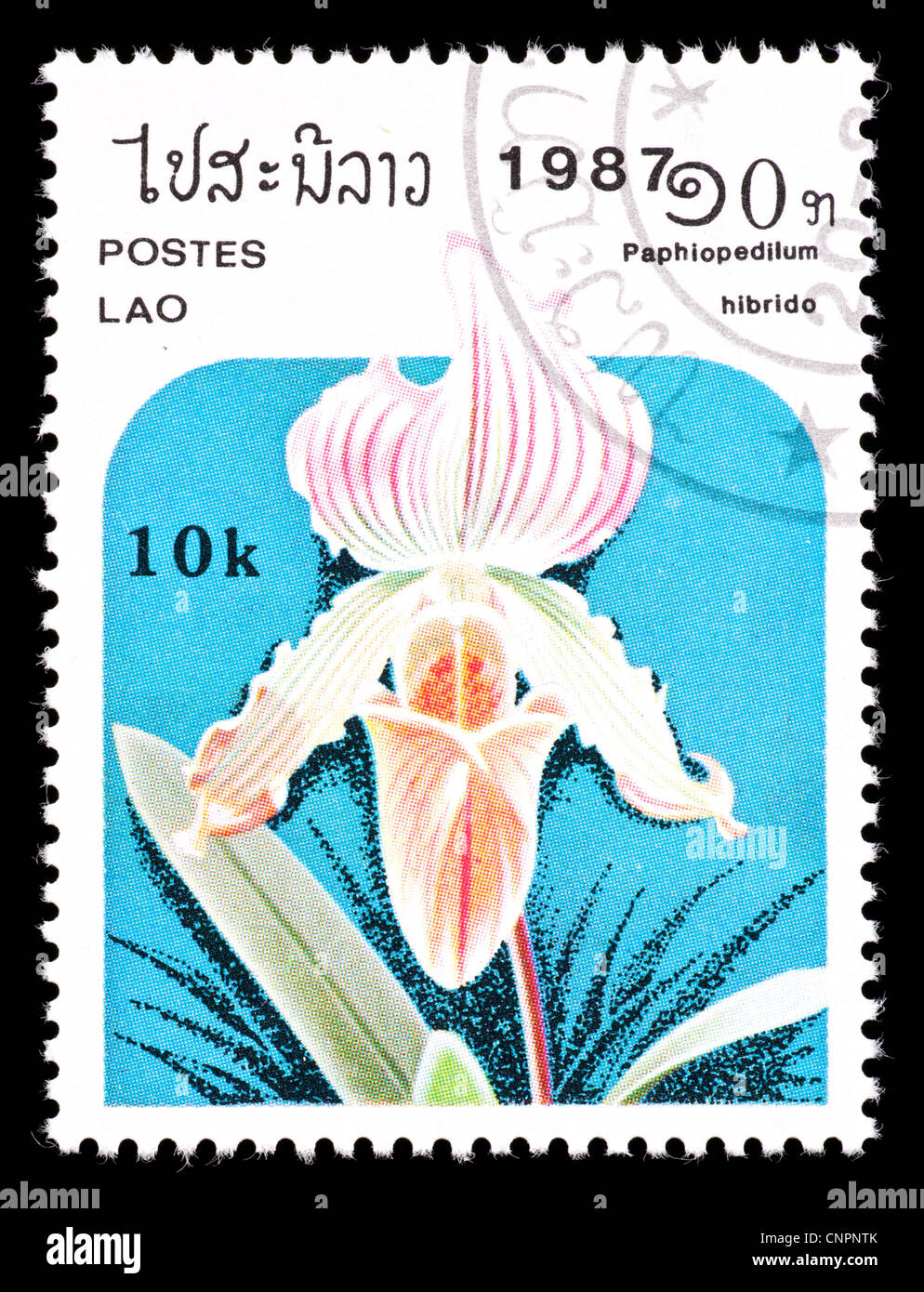 Postage stamp from Laos depicting an orchid (Paphiopedilum hybrid) Stock Photo