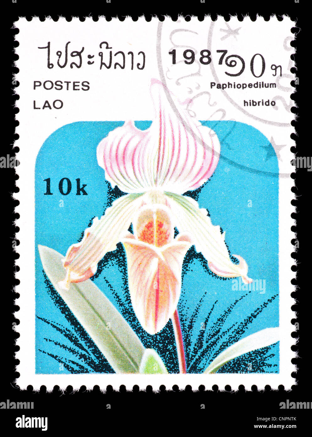 Postage stamp from Laos depicting an orchid (Paphiopedilum hybrid Stock ...
