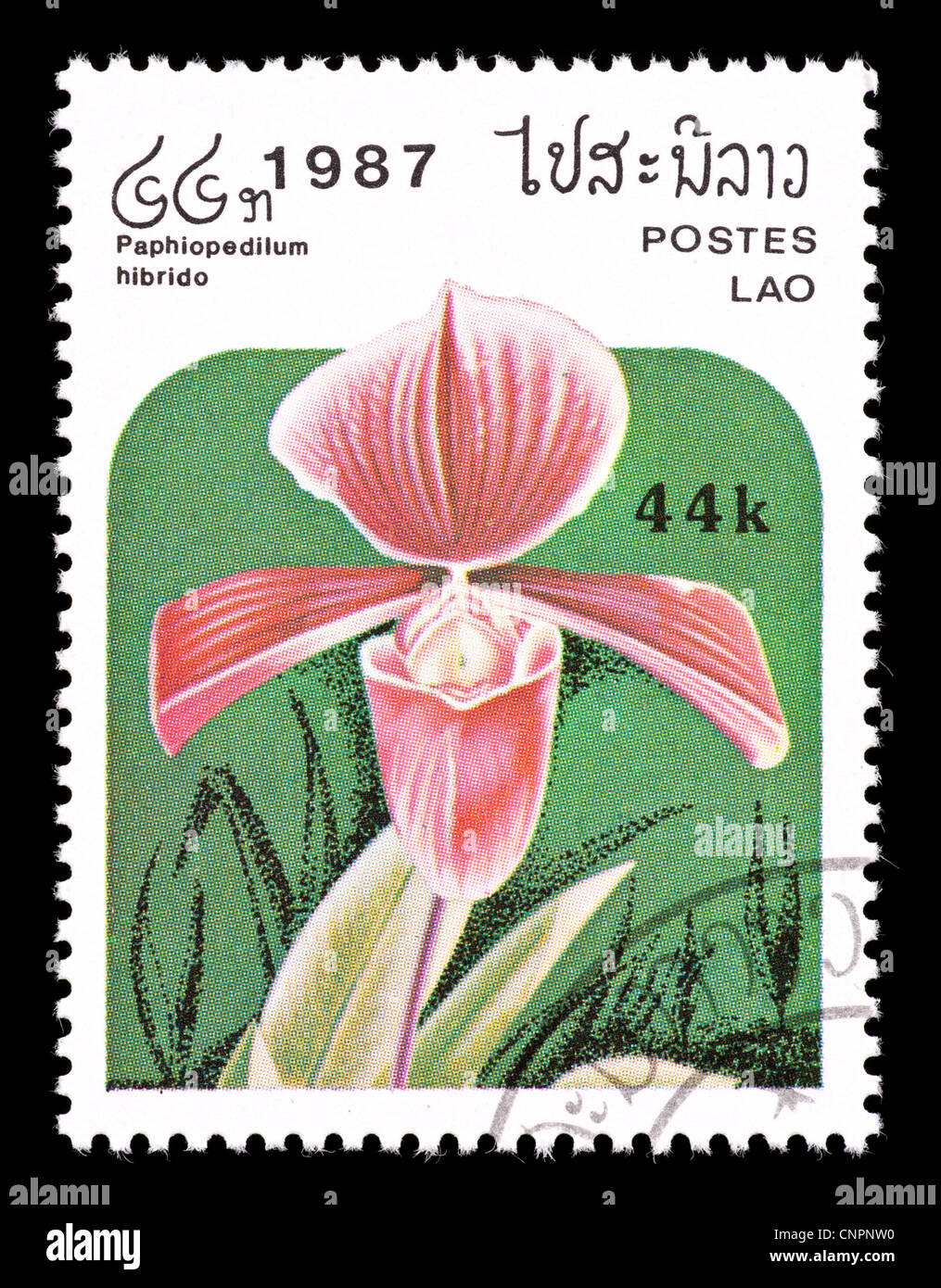 Postage stamp from Laos depicting an exotic orchid hybrid (Paphiopedilum hybrid) Stock Photo