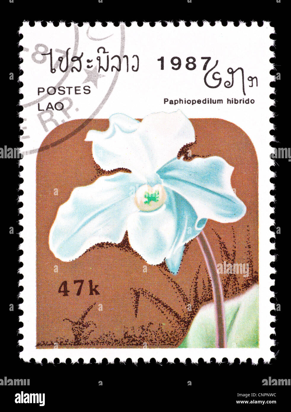 Postage stamp from Laos depicting an exotic hybrid orchid (Paphiopedilum hybrid) Stock Photo