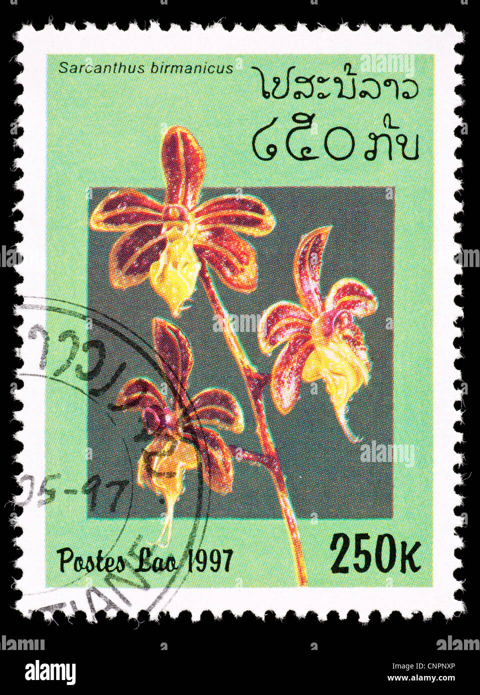 Postage stamp from Laos depicting an orchid flower (Sarcanthus birmanicus) Stock Photo
