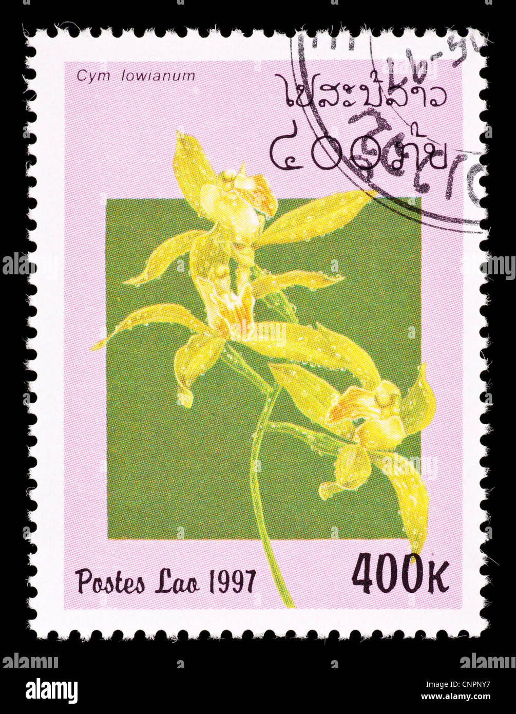 Postage stamp from Laos depicting an orchid (Cymbidium lowianum) Stock Photo