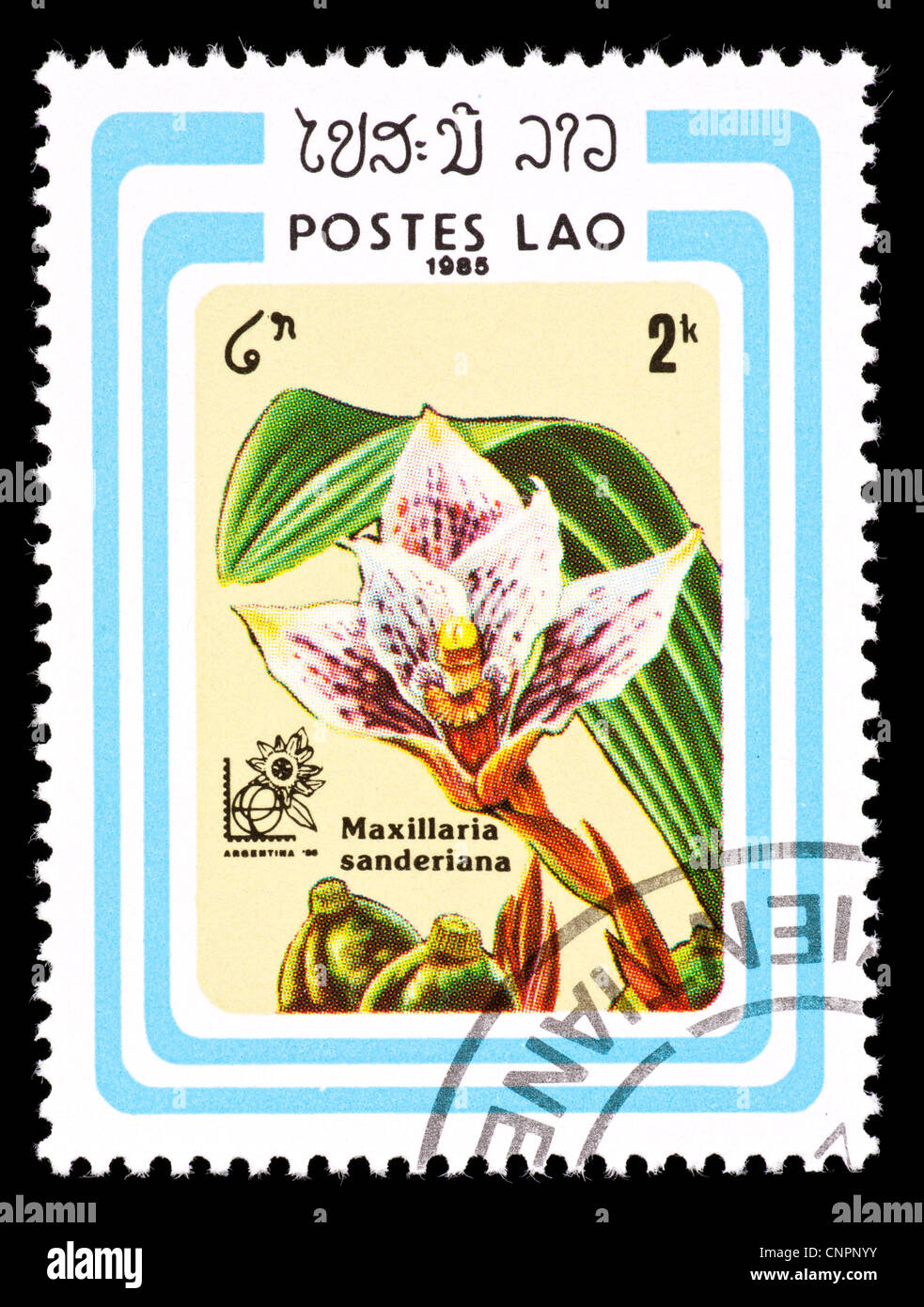 Postage stamp from Laos depicting a tropical  Sander's Maxillaria orchid (Maxillaria sanderiana) Stock Photo