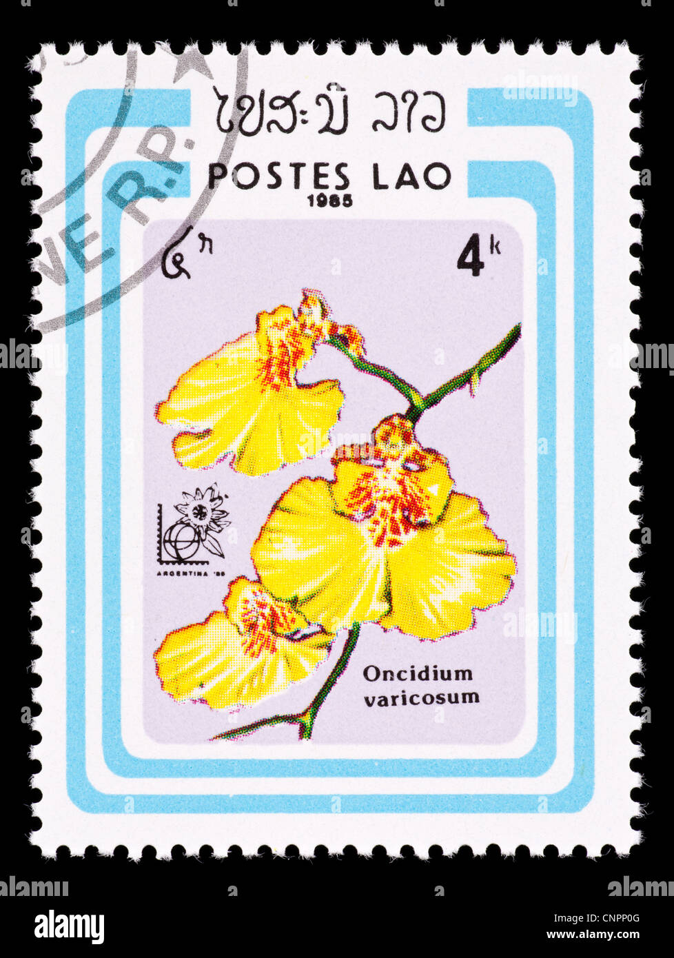 Postage stamp from Laos depicting an exotic orchid (Oncidium varicosum ...
