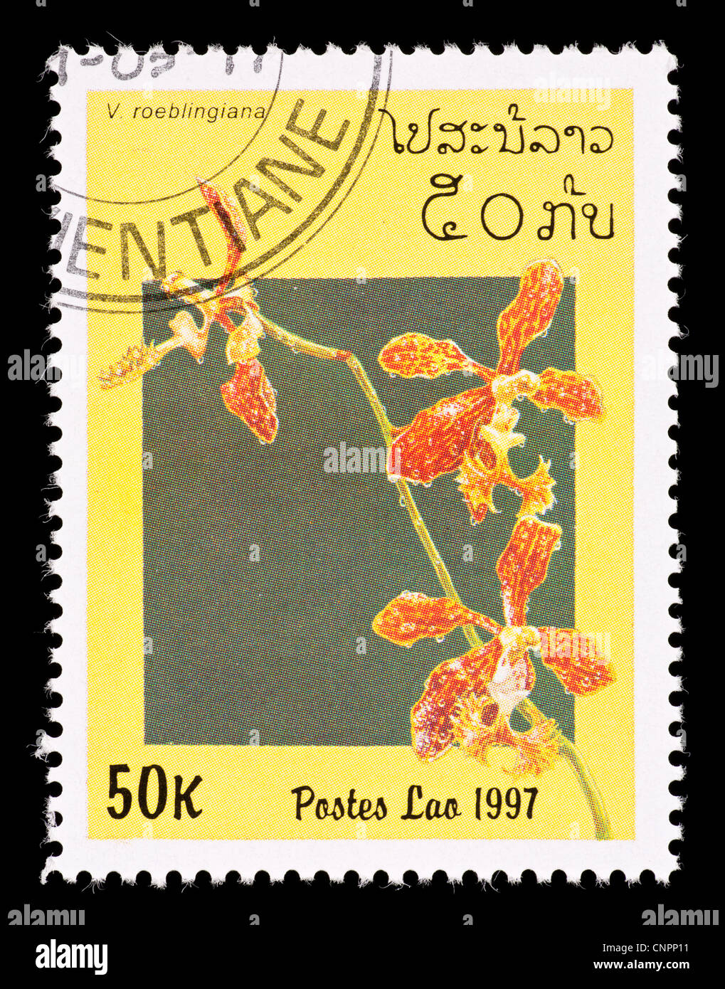 Postage stamp from Laos depicting depicting a tropical Roebelen's Vanda orchid ( Vanda roeblingiana ) Stock Photo