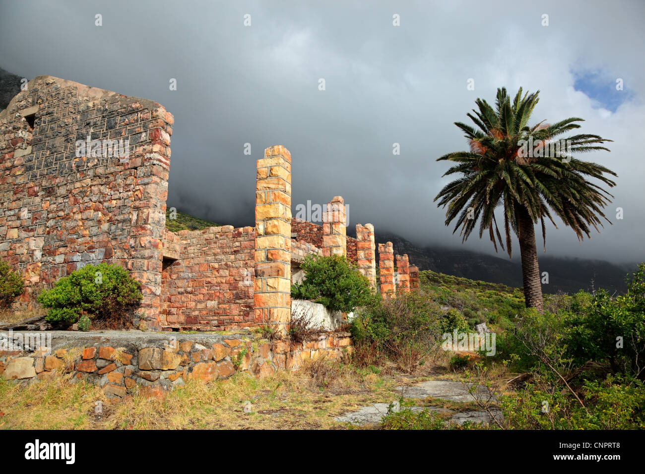 Ruins of an old building with palm tree in mist Stock Photo