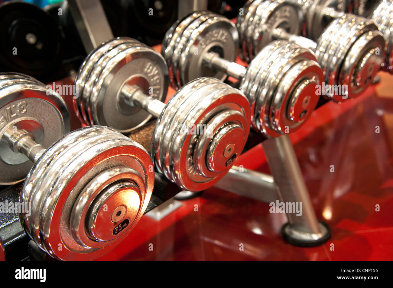 Silver dumb bells on the fitness fair FIBO in Essen, Germany. Stock Photo