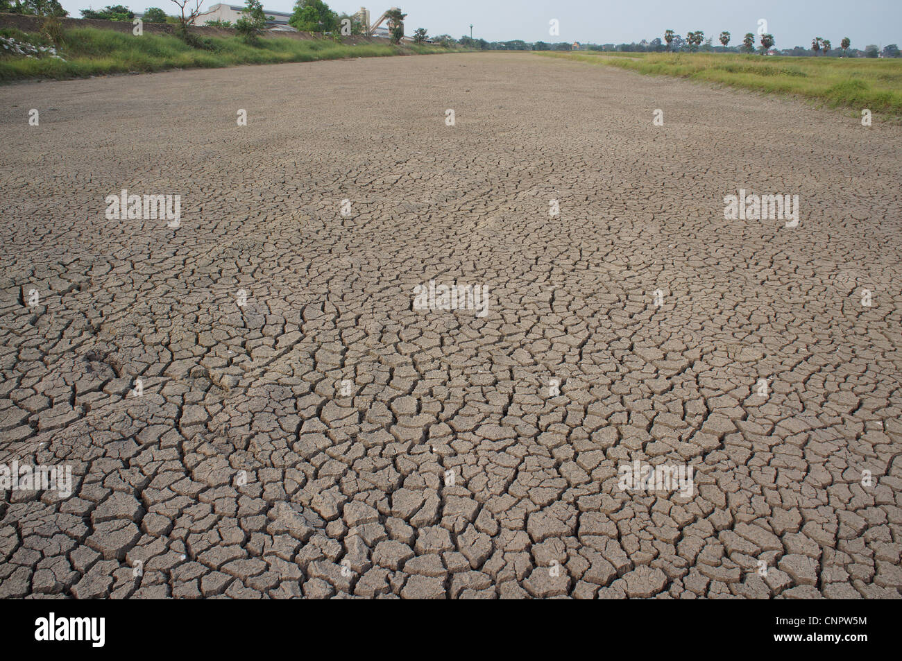 cracked earth - concept image of global warming Stock Photo - Alamy