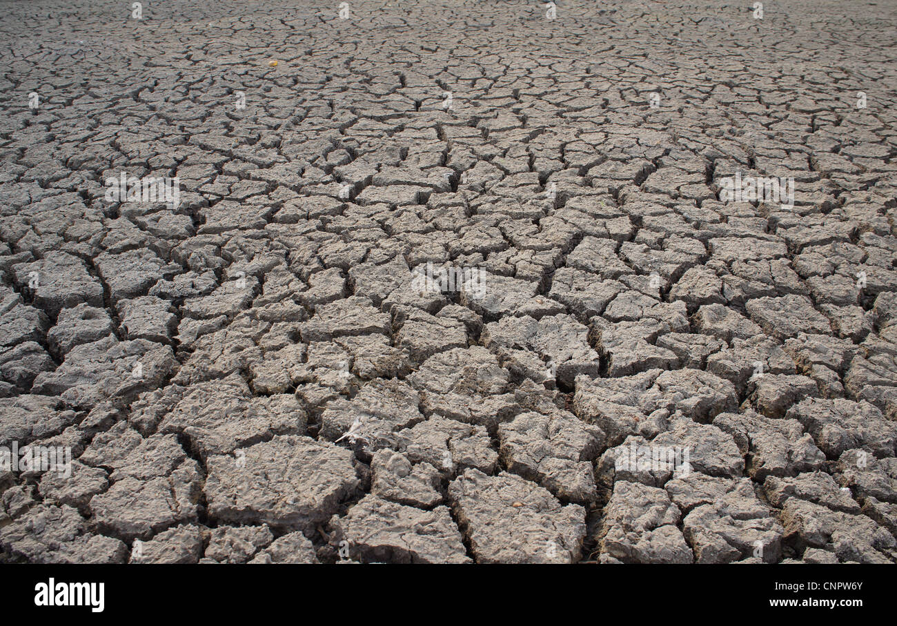 cracked earth - concept image of global warming Stock Photo - Alamy
