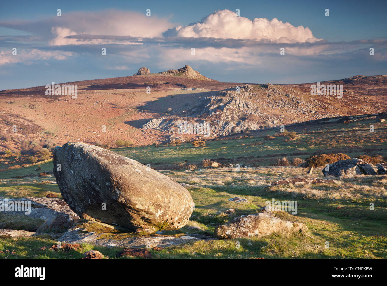View from Hound Tor to Hay Tor on Dartmoor Stock Photo